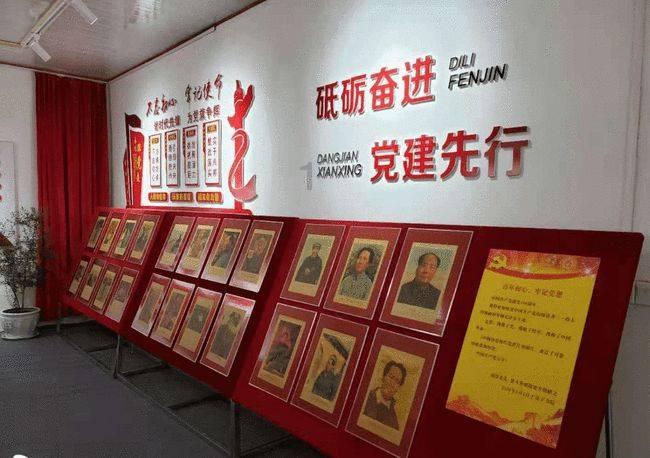 可爱小猫向上跳